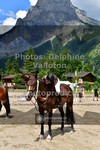 ref. photo 3718326