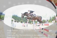 ref. photo 3251460