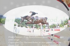 ref. photo 3251461