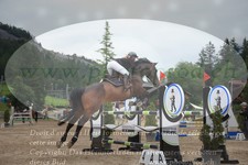 ref. photo 3251477