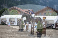 ref. photo 3251508