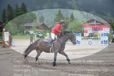 ref. photo 3251517