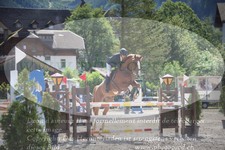 ref. photo 3251559