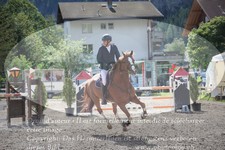 ref. photo 3251560