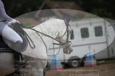 ref. photo 3251572