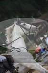 ref. photo 3251599