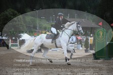 ref. photo 3251601