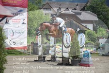 ref. photo 3251647