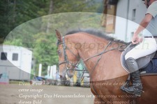 ref. photo 3251657