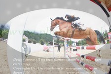ref. photo 3251665
