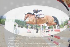 ref. photo 3251666