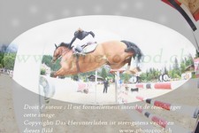 ref. photo 3251667