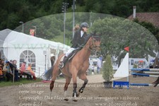 ref. photo 3251668