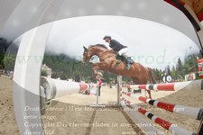 ref. photo 3251686