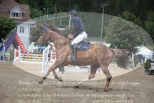 ref. photo 3251693