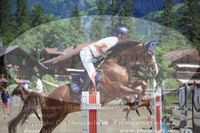 ref. photo 3251700