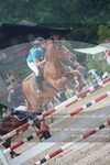 ref. photo 3251711