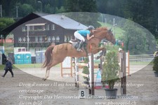 ref. photo 3251712