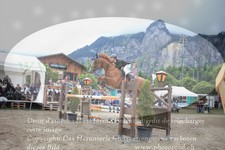 ref. photo 3251718