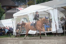 ref. photo 3251722