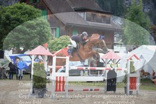 ref. photo 3251727