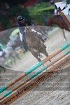 ref. photo 3251800