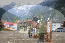 ref. photo 3251828