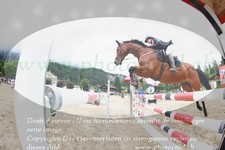 ref. photo 3251835