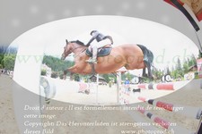 ref. photo 3251837