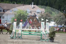 ref. photo 3251840