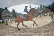 ref. photo 3252012