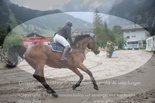 ref. photo 3252024