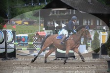 ref. photo 3252028