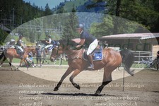 ref. photo 3252038
