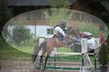 ref. photo 3252051