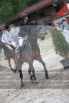 ref. photo 3252063