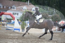 ref. photo 3252070
