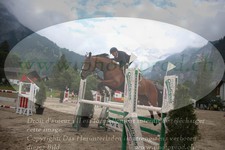 ref. photo 3252082