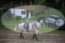 ref. photo 3252096