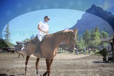 ref. photo 3252175