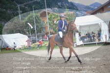 ref. photo 3252187