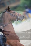 ref. photo 3252189