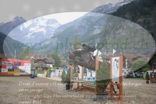 ref. photo 3252205