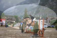 ref. photo 3252235