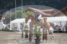 ref. photo 3252244