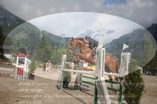 ref. photo 3252245