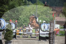 ref. photo 3252254