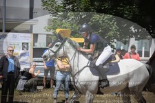 ref. photo 3252279