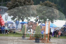 ref. photo 3252294