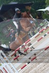 ref. photo 3252327